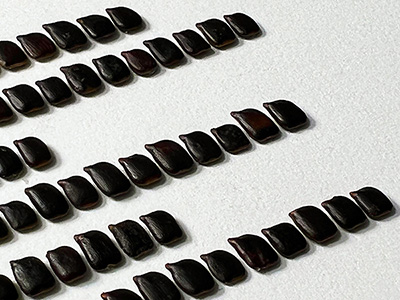 remaking Tao Te Ching detail 2