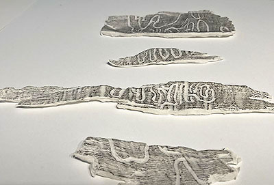 vermicular 9 studies